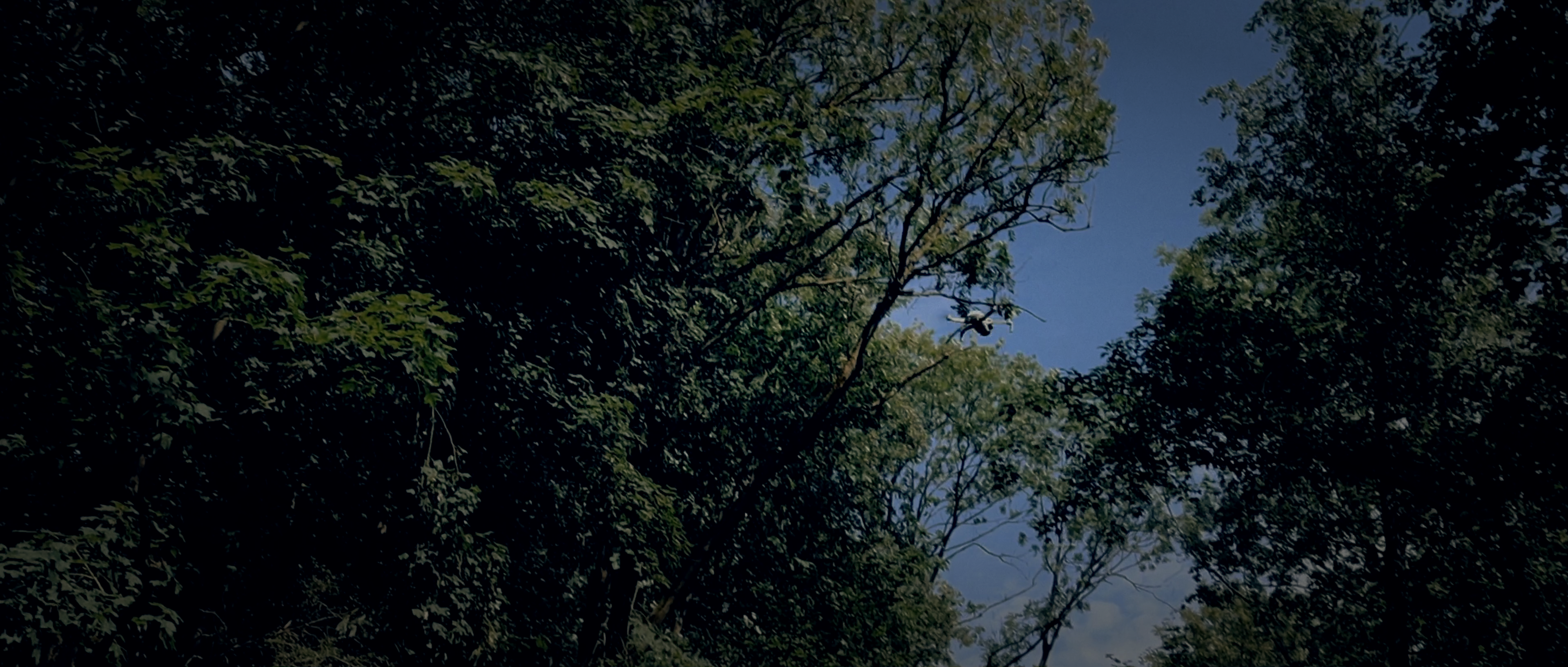 Still 06